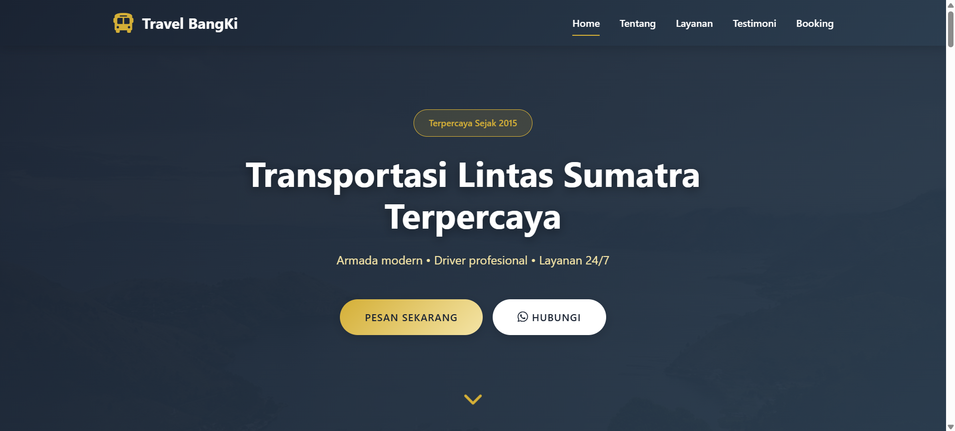 Travel Company Profile